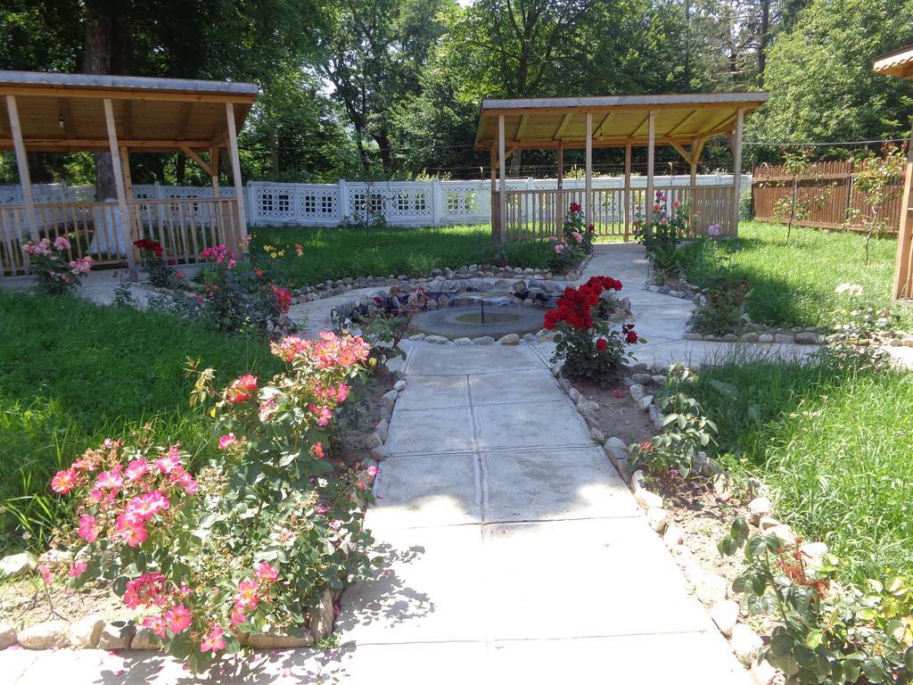 Pensiunea Radu Cisnadie Room photo